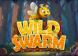 Wild Swarm